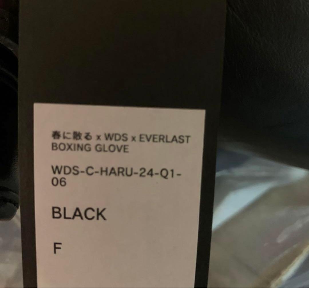 春に散る X WDS X EVERLAST BOXING GLOVE 10oz