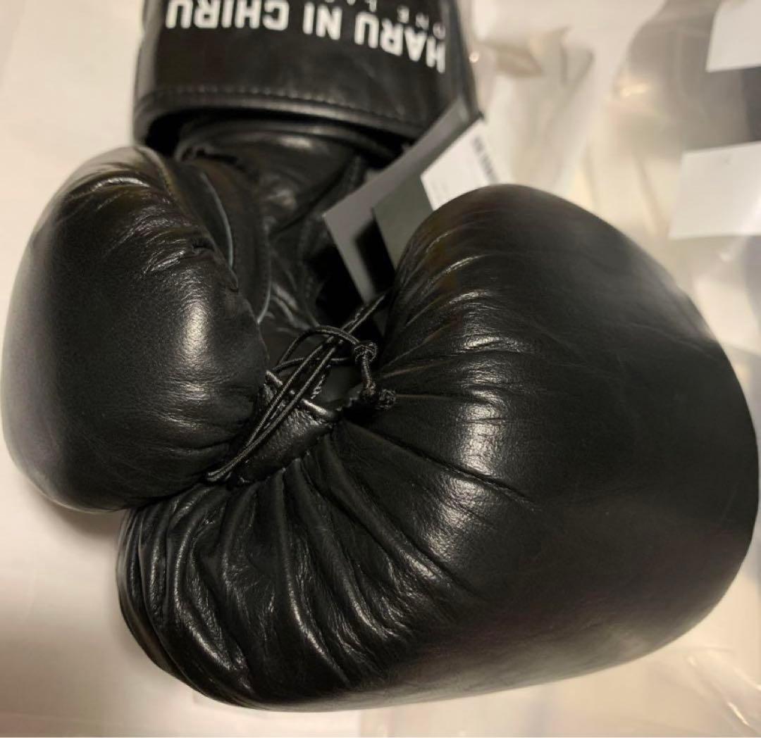 春に散る X WDS X EVERLAST BOXING GLOVE 10oz