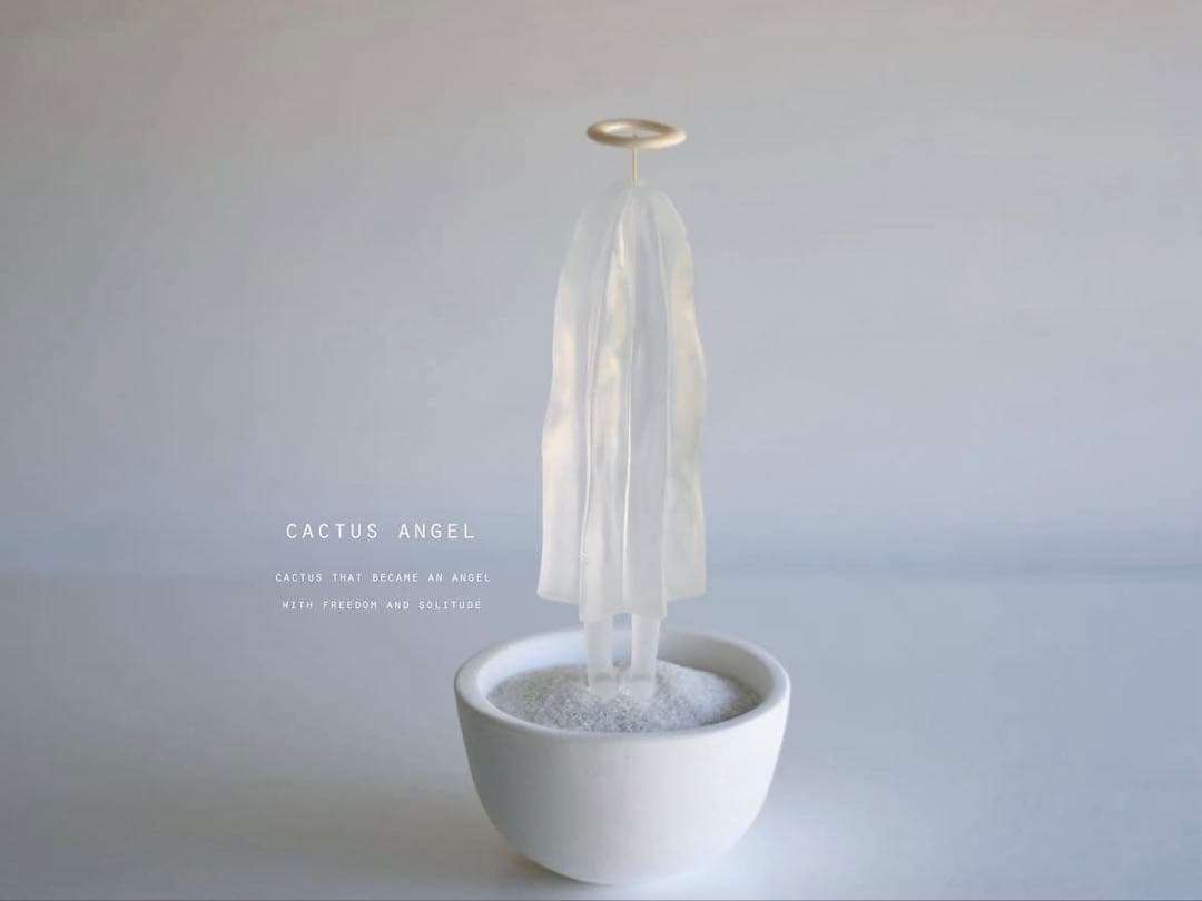 【一点もの】echidna CACTUS ANGELサボ天使 陣内啓治 オブジェ