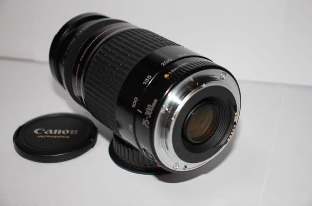 人気の300mm超望遠レンズ☆CANON EF 75-300mm F4-5.6