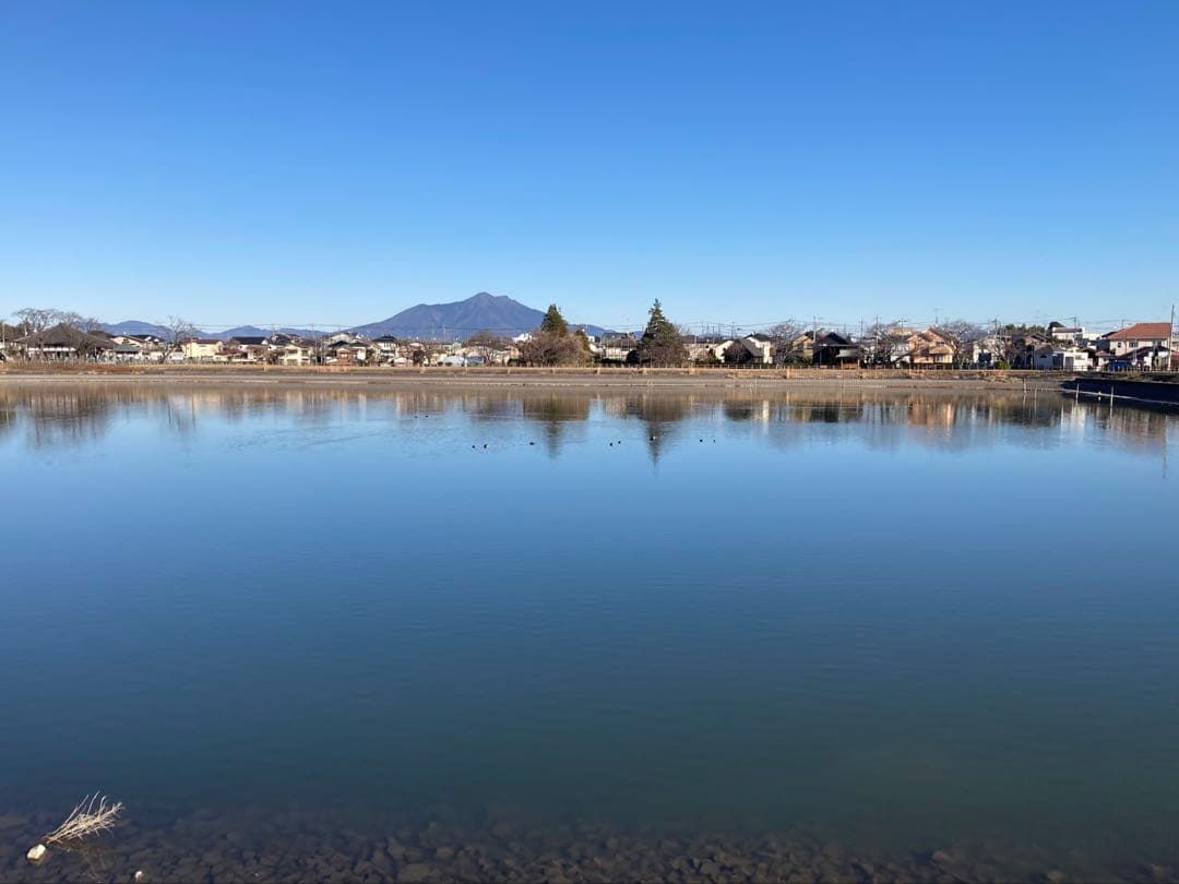 zippo ポパイ 時計　稼働中 。分解掃除済み