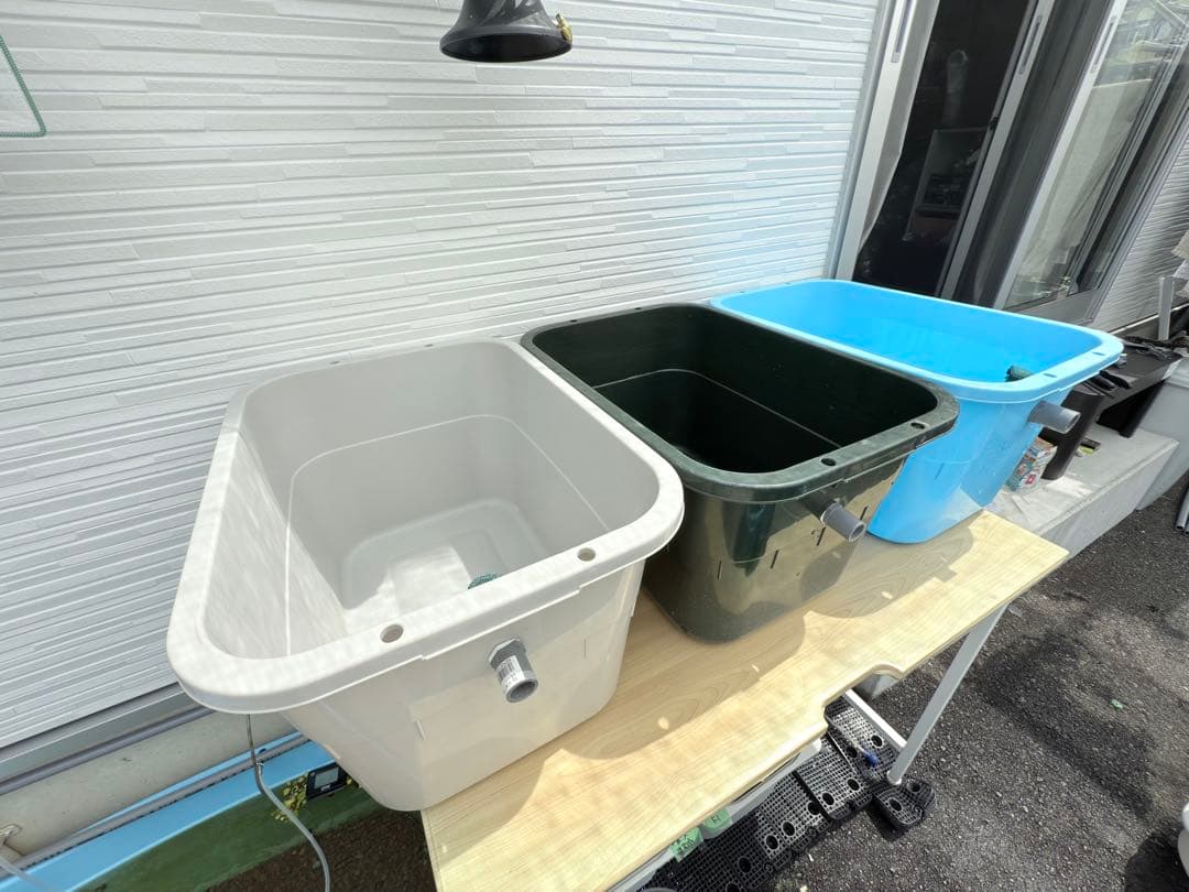 ★お買い得★たらい36L(4個)メダカ飼育容器オーバーフロー トロ舟プラ舟めだか