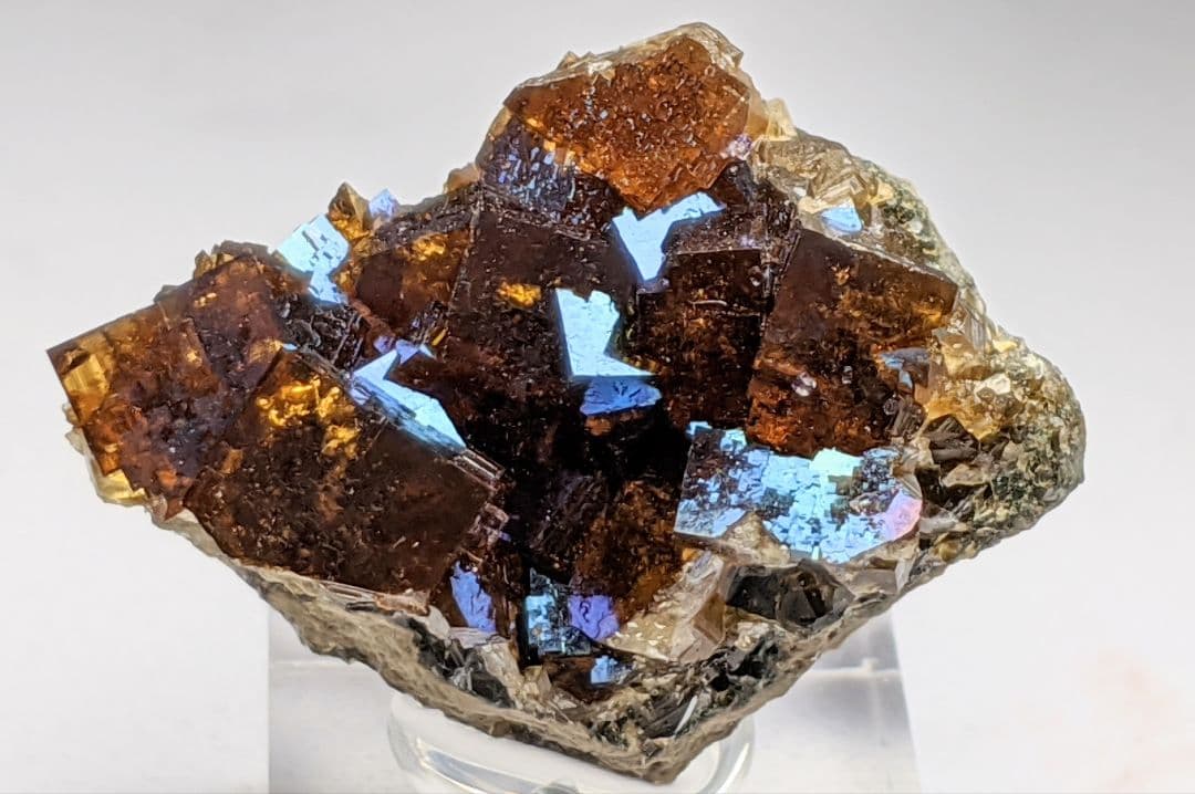 フローライト オハイオ産 鉱物標本