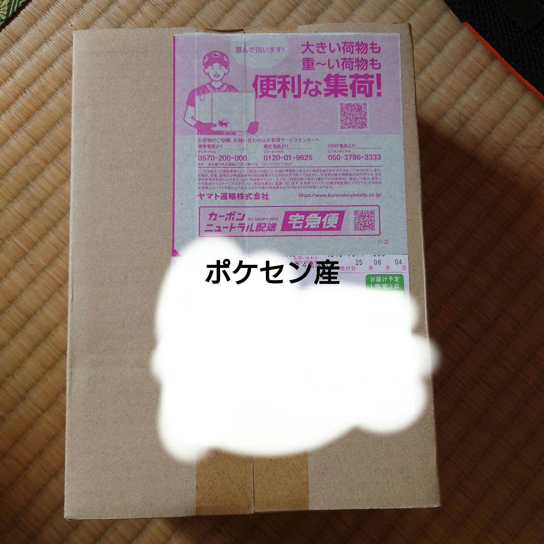 ポケモンカード　ポケセン産ブラックボルトデラックスシュリンク付き