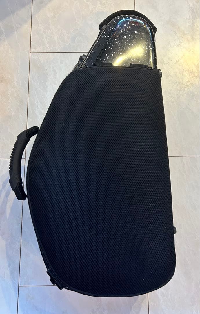 bags EFAS F-BLK ハードケース/アルトサックス用 バッグス