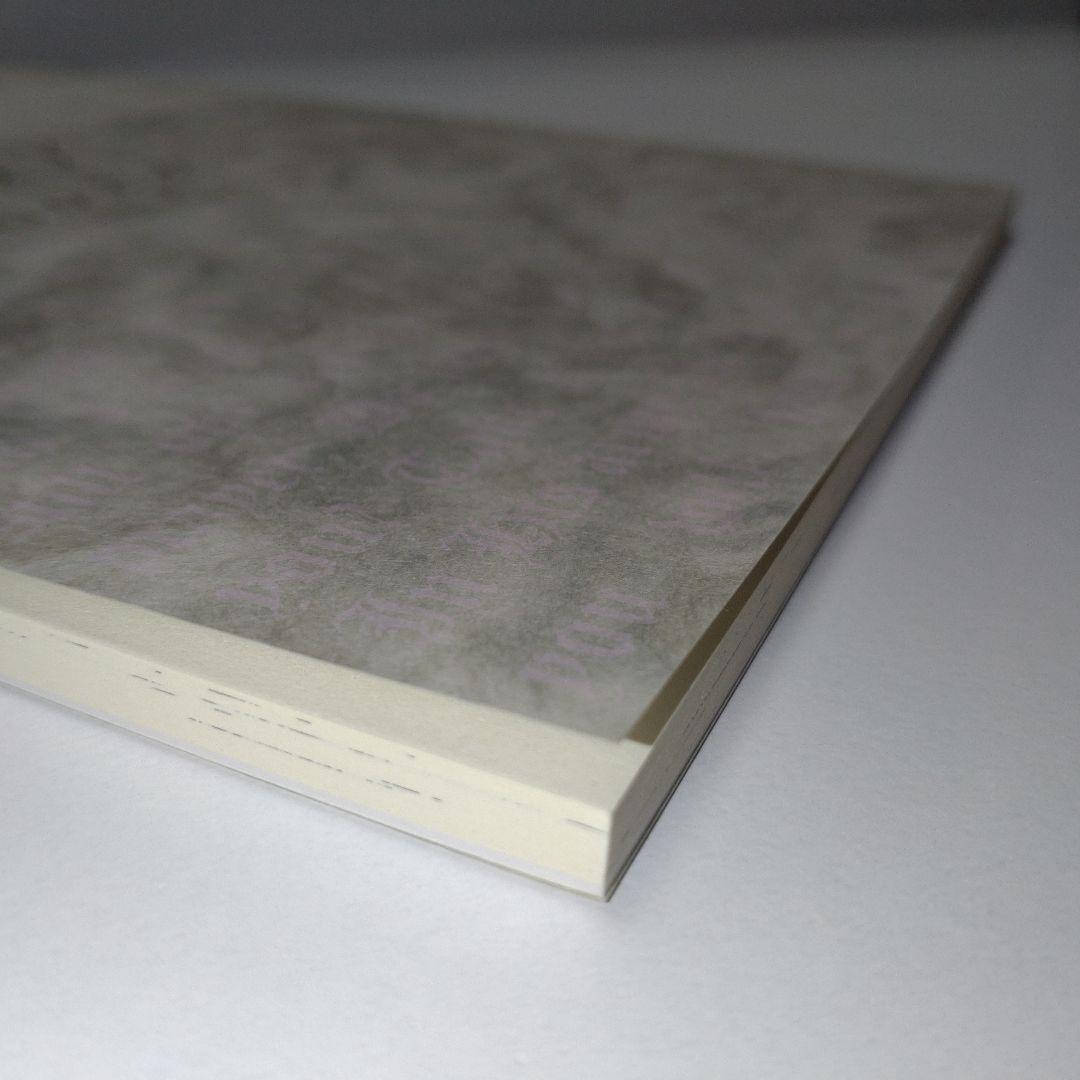 定本 エリノア [2016年増補版 ] 谷口ひとみ さわらび本工房