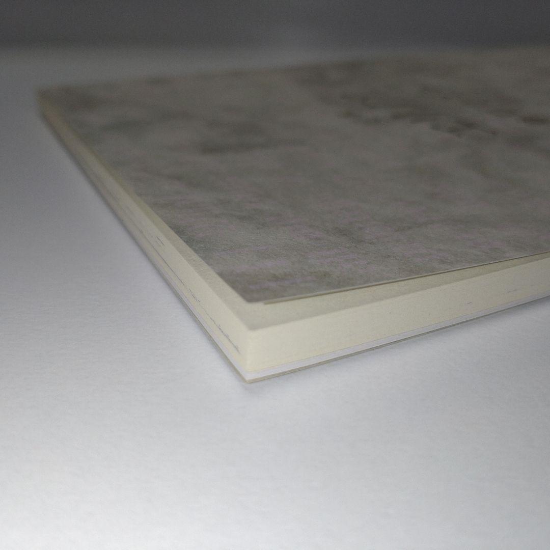 定本 エリノア [2016年増補版 ] 谷口ひとみ さわらび本工房