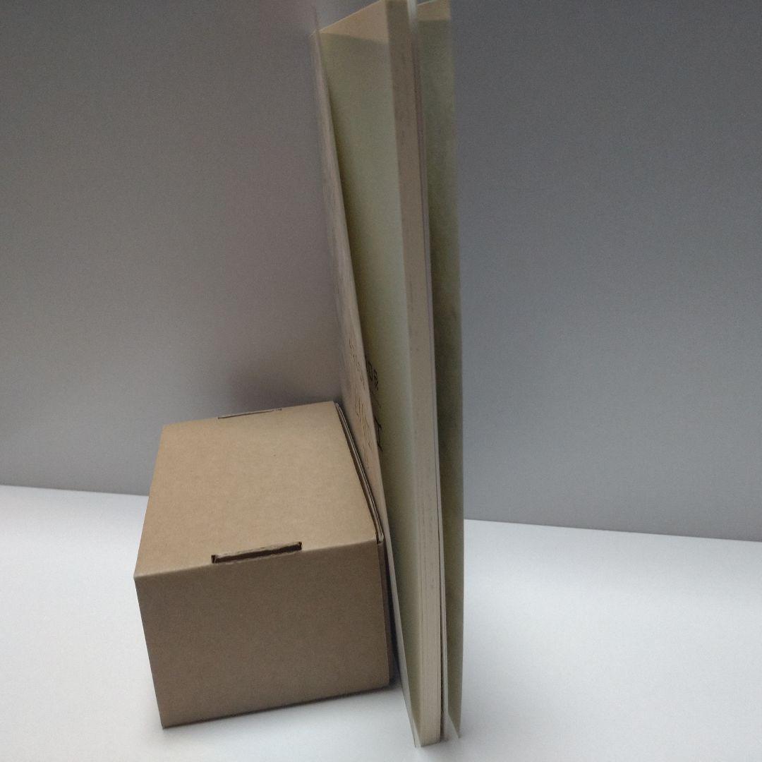 定本 エリノア [2016年増補版 ] 谷口ひとみ さわらび本工房