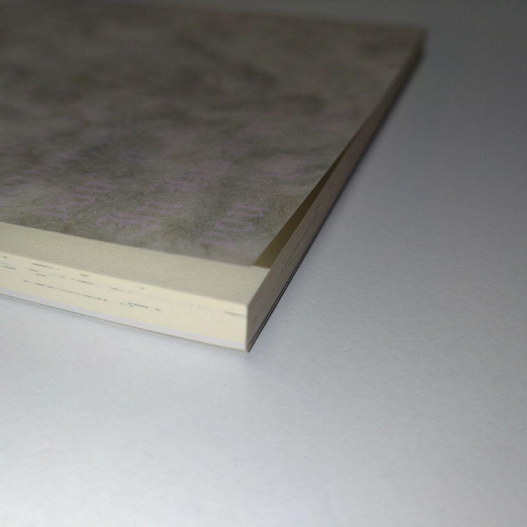 定本 エリノア [2016年増補版 ] 谷口ひとみ さわらび本工房