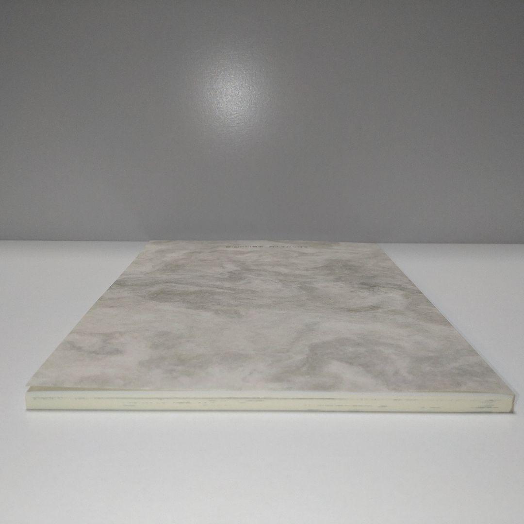 定本 エリノア [2016年増補版 ] 谷口ひとみ さわらび本工房