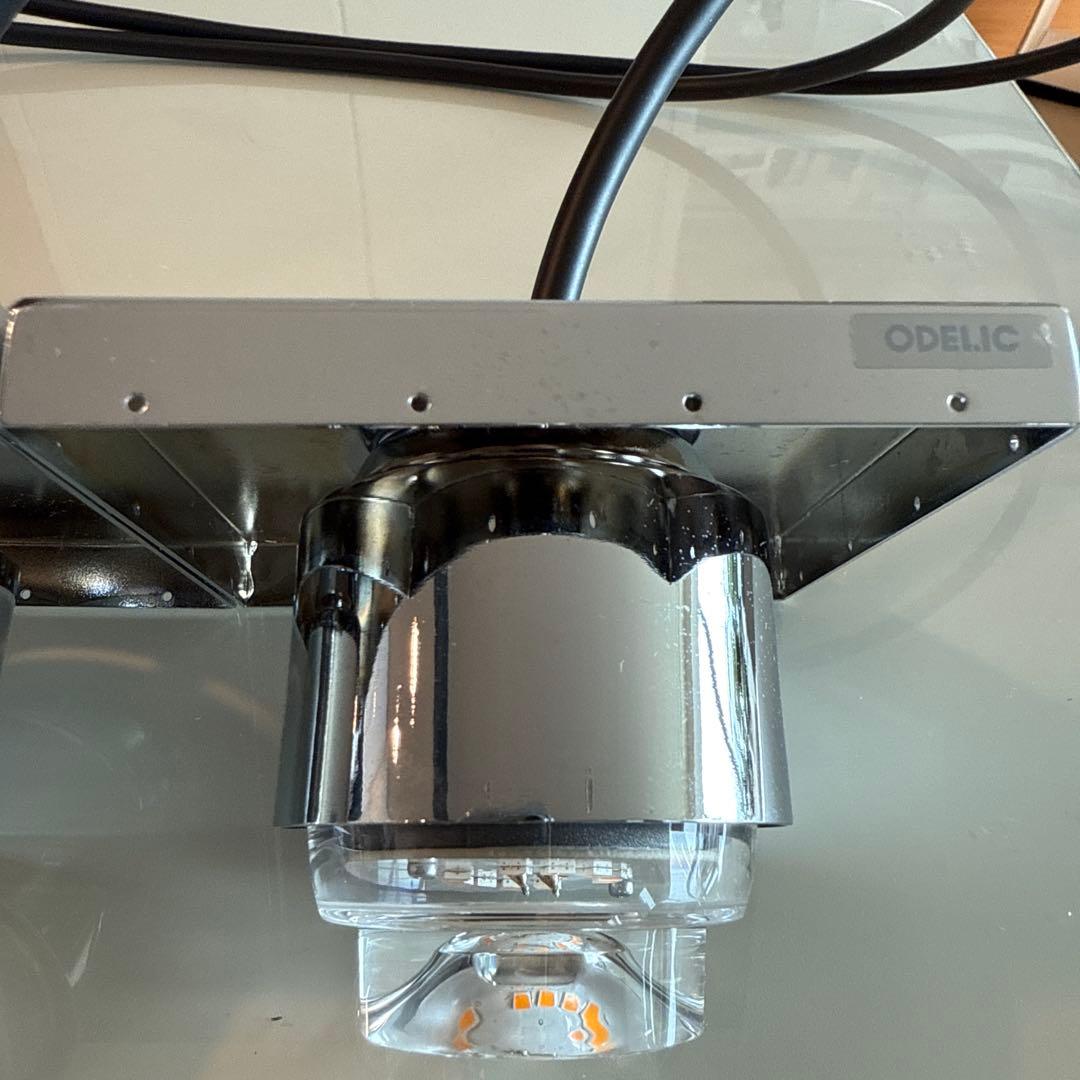 オーデリック　ペンダントライト　2灯 クリスタル調　ダクトレール ODELIC