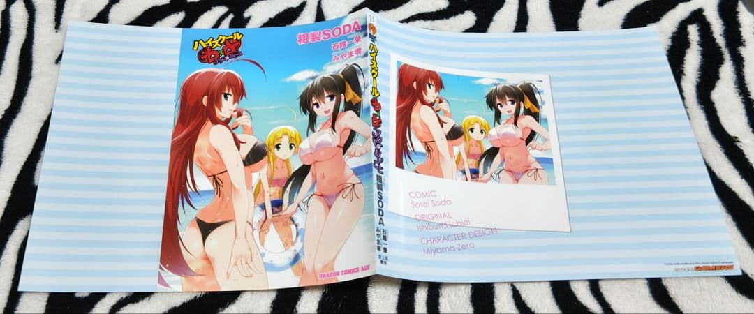 ハイスクールD×D アクマのおしごと ブックカバー NOT FOR SALE