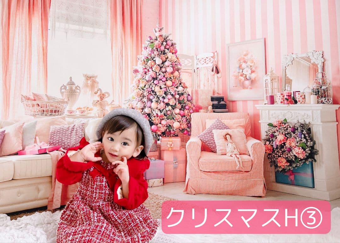 縦長　背景布×8+1　ペット撮影用ブース　トリミングチョーカー販売中　クリスマス