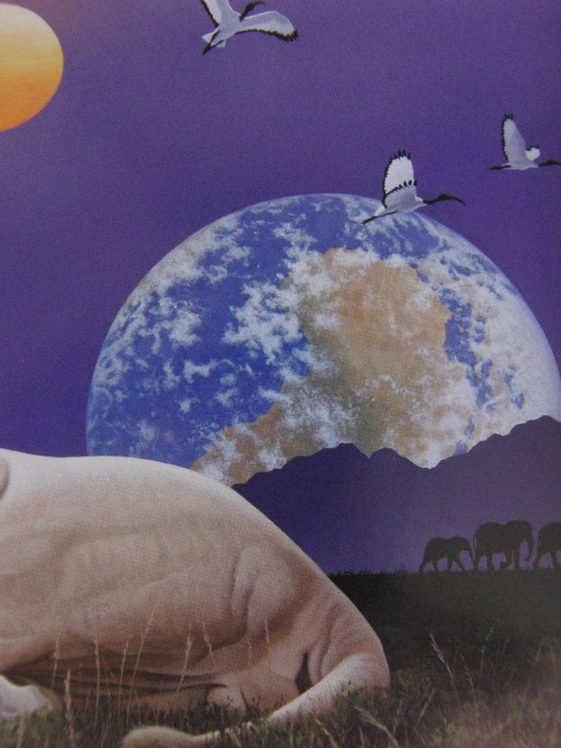 シム・シメール、【KING'S WORLD】、希少な額装用画集より、厳選