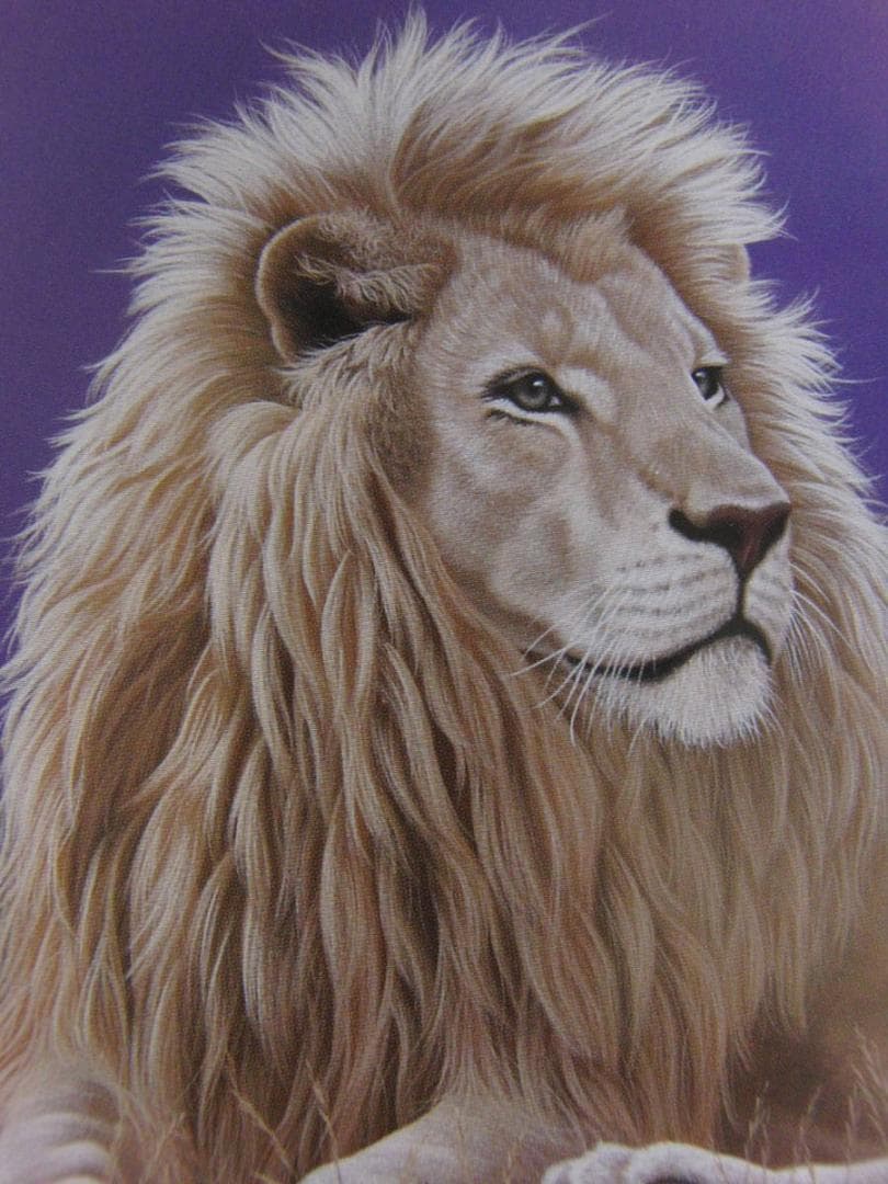 シム・シメール、【KING'S WORLD】、希少な額装用画集より、厳選