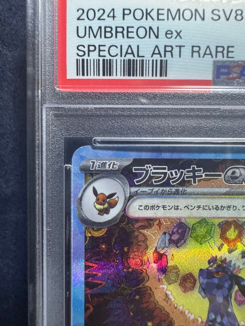 ブラッキーex SAR(PSA10) テラスタルフェスex