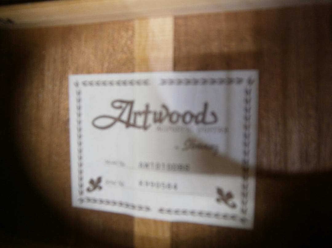 期間限定特価・アイバニーズ＜AW1010＞オール単板仕様・日本製