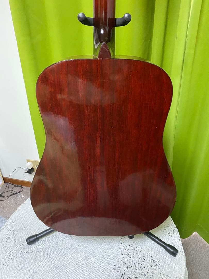 新春特価カントリーしようぜ！ハミングバードHottaエレアコ音出し良好