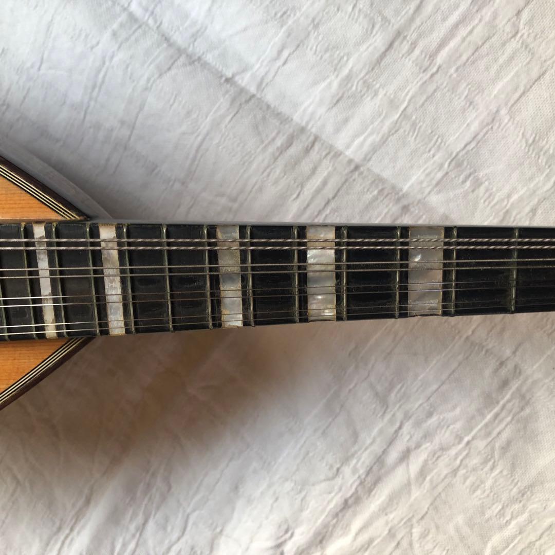 ラファエレカラーチェマンドリン　Type13