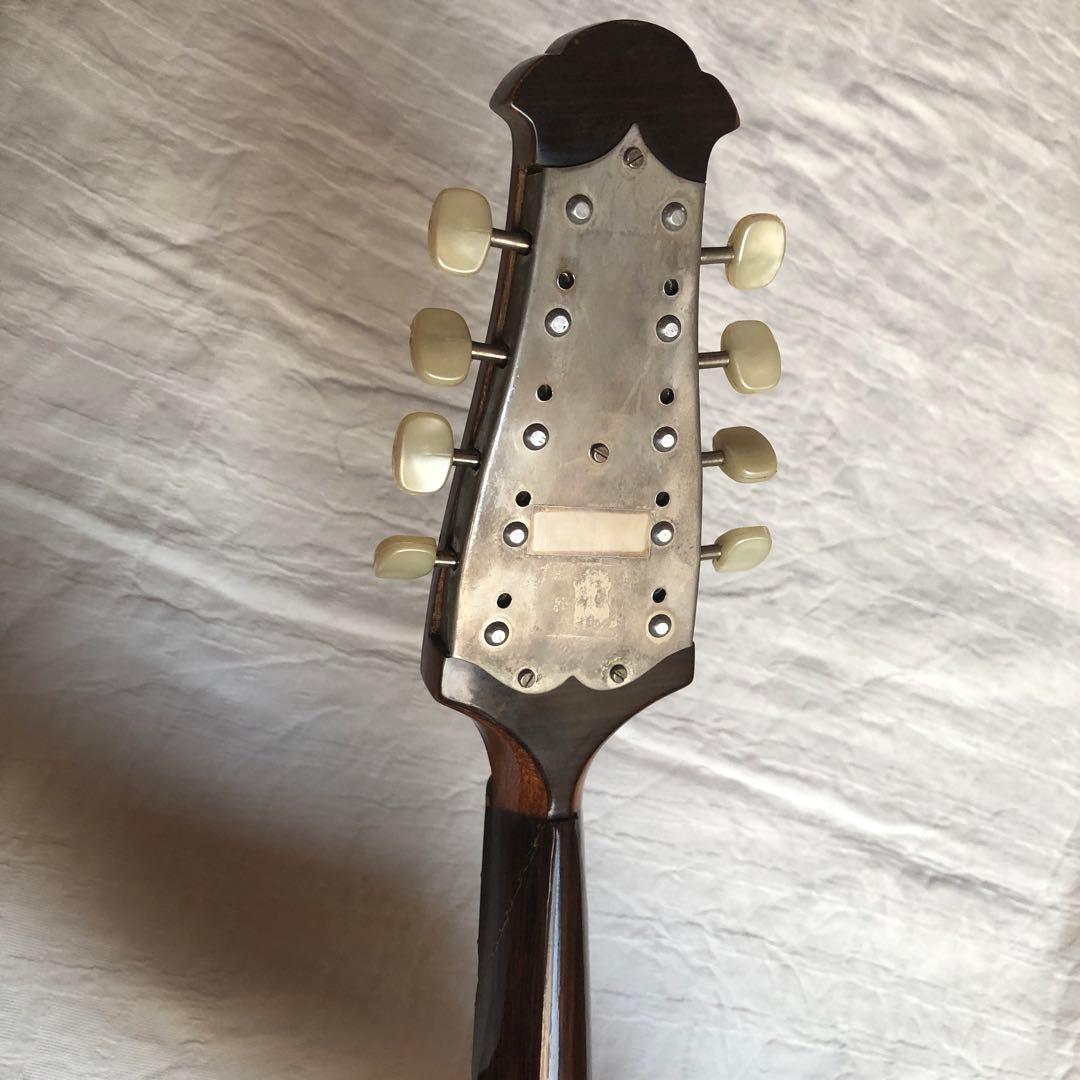 ラファエレカラーチェマンドリン　Type13