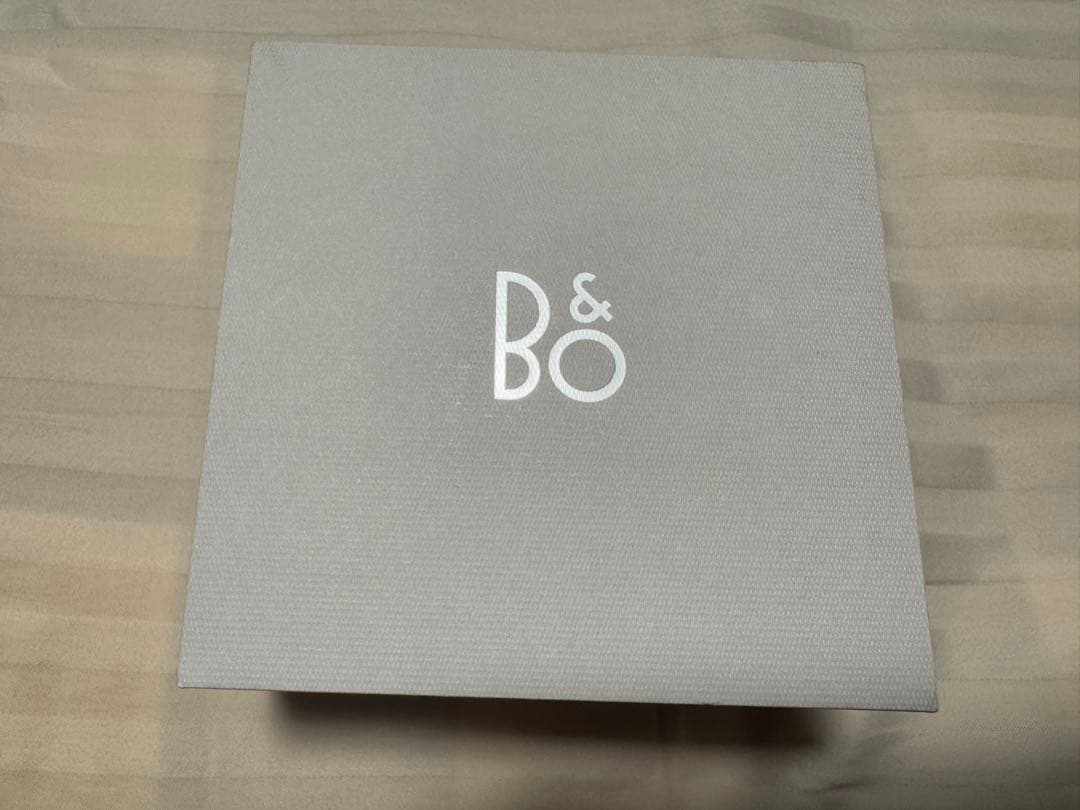 BANG & OLFSEN 【BEOPLAY ELEVEN】