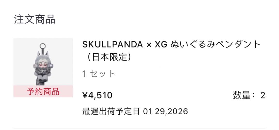 SKULLPANDA x XG ぬいぐるみペンダント　2本セット