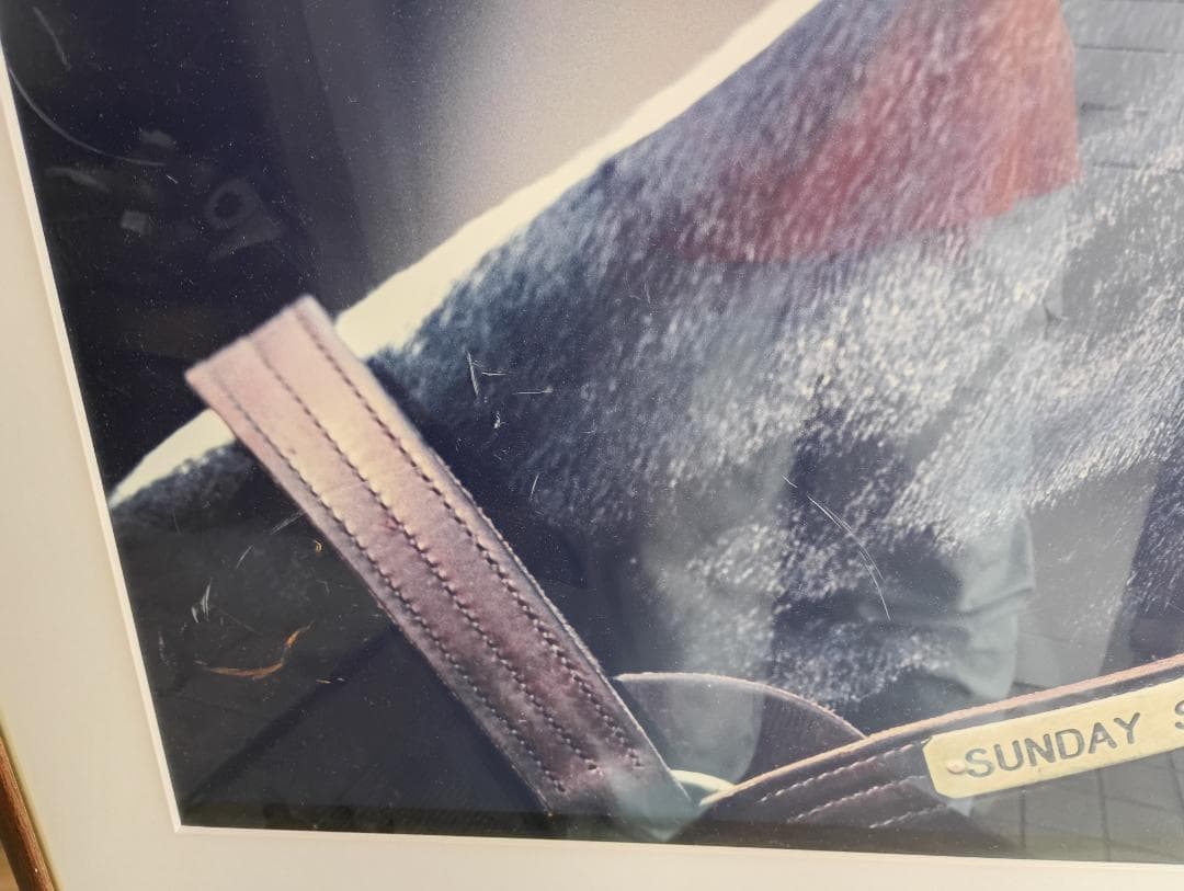 １９８５）サンデーサイレンス (Sunday Silence)写真額　競馬関係