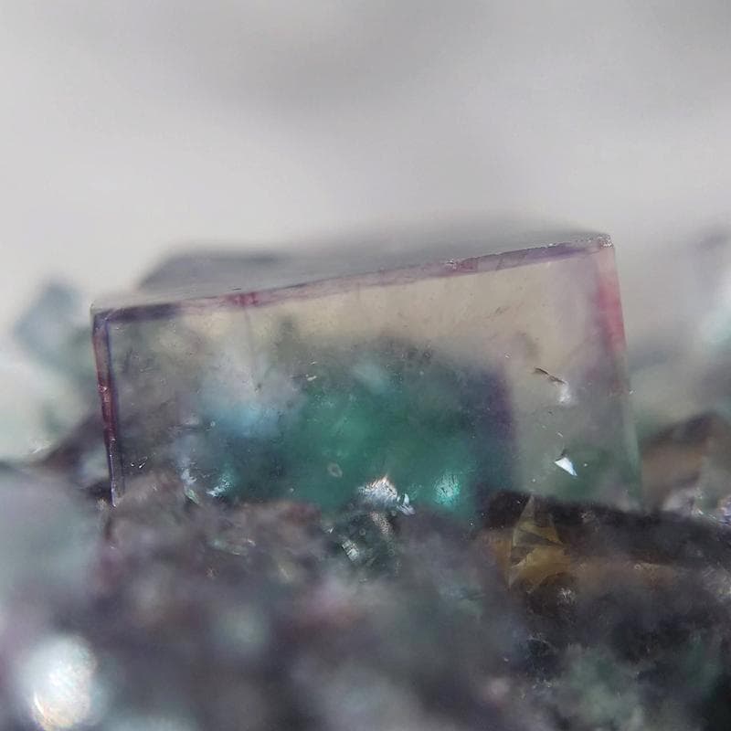 451 オコルス鉱山 フローライト クリア×ブルーグリーン 蛍石
