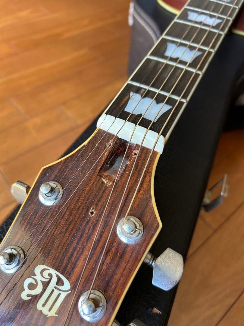 Morris MG-50 アコースティックギター