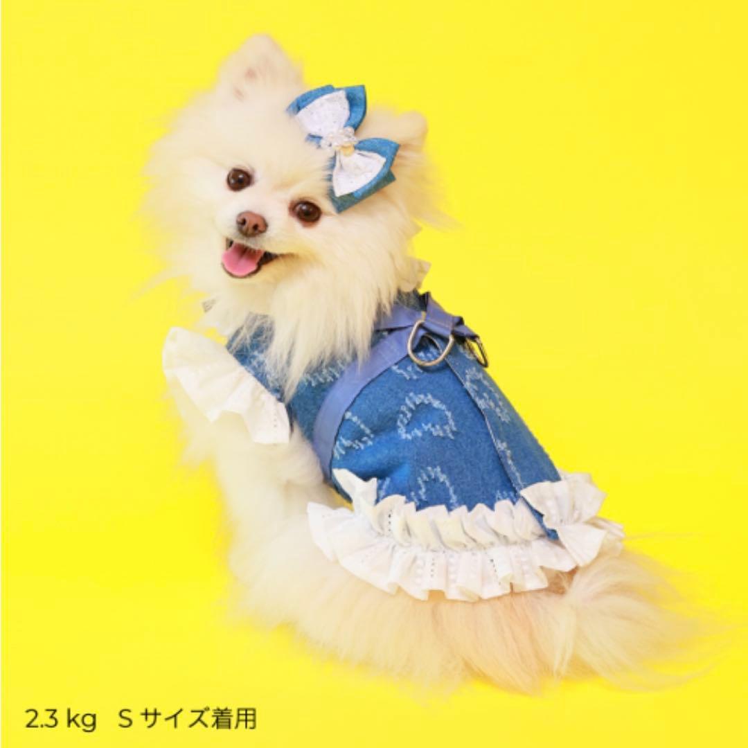 GODPIVA ガーリーデニムハーネス