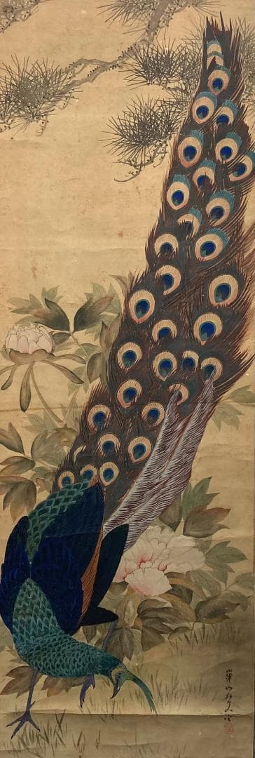 渡辺崋山「孔雀」掛軸 紙本 識箱 二重箱：江戸時代後期