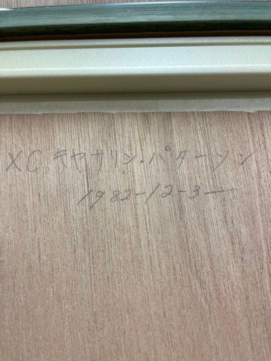 油絵F6  白胡蝶蘭  (板に油絵) 表面アクリル板付き  額グレー