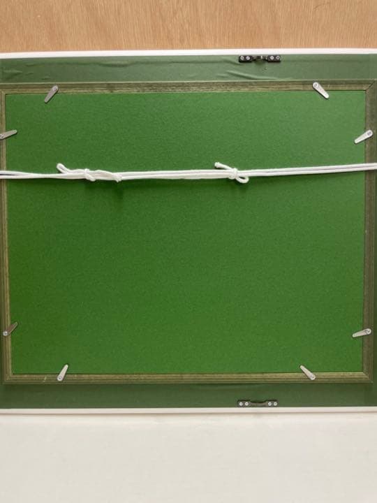 油絵F6  白胡蝶蘭  (板に油絵) 表面アクリル板付き  額グレー