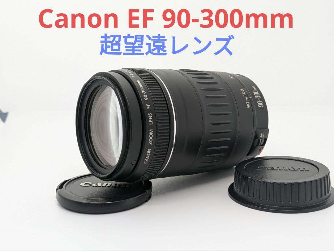 1月7日限定価格♪【超望遠レンズ】Canon EF 90-300mm