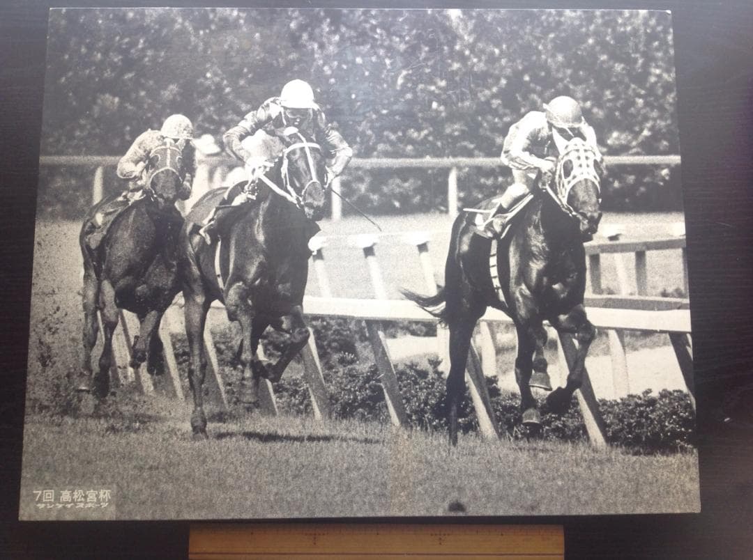 競馬パネル：トウショウボーイ「1977年 第7回高松宮杯」※白黒４角