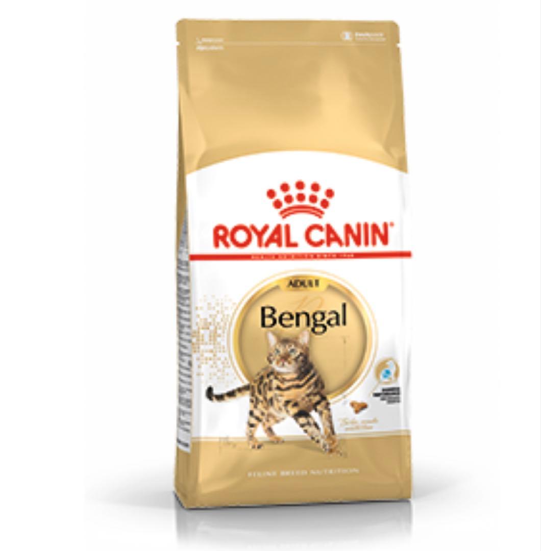  CANIN Bengal 2kg×2ほか