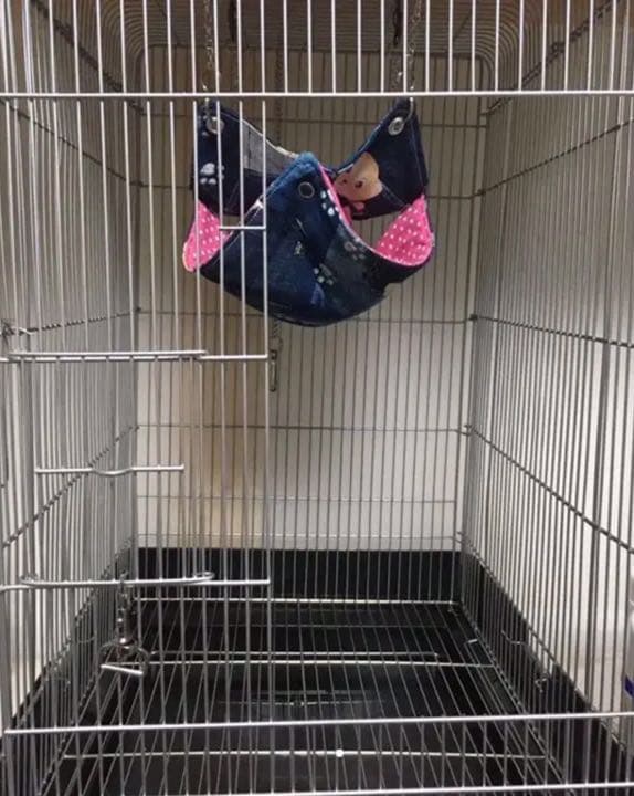 モモンガハウス（猫柄・ピンク）ラビットボア    ポーチ  2100円