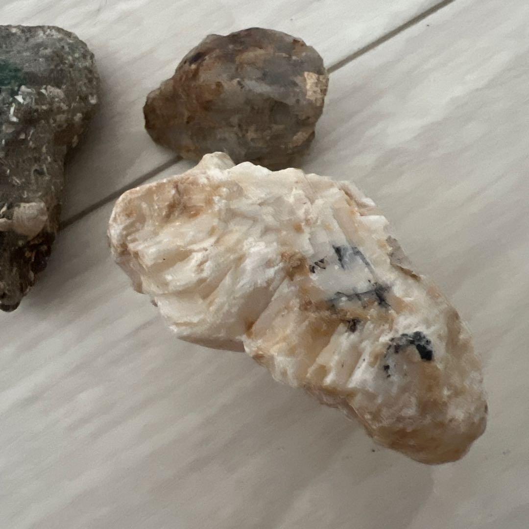 珍しい石&化石 セット アマゾナイトetc