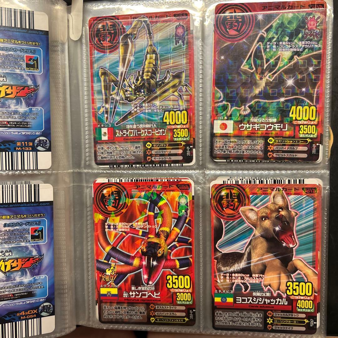 アニマルカイザー　カード　セット　104枚