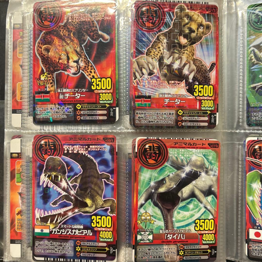 アニマルカイザー　カード　セット　104枚