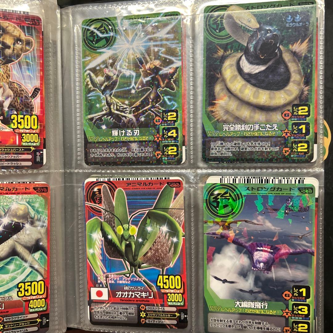 アニマルカイザー　カード　セット　104枚