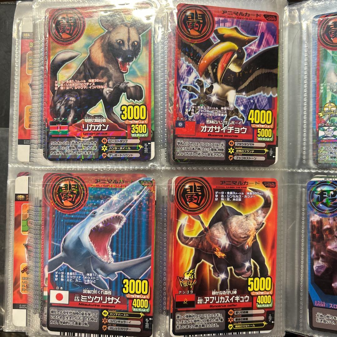 アニマルカイザー　カード　セット　104枚