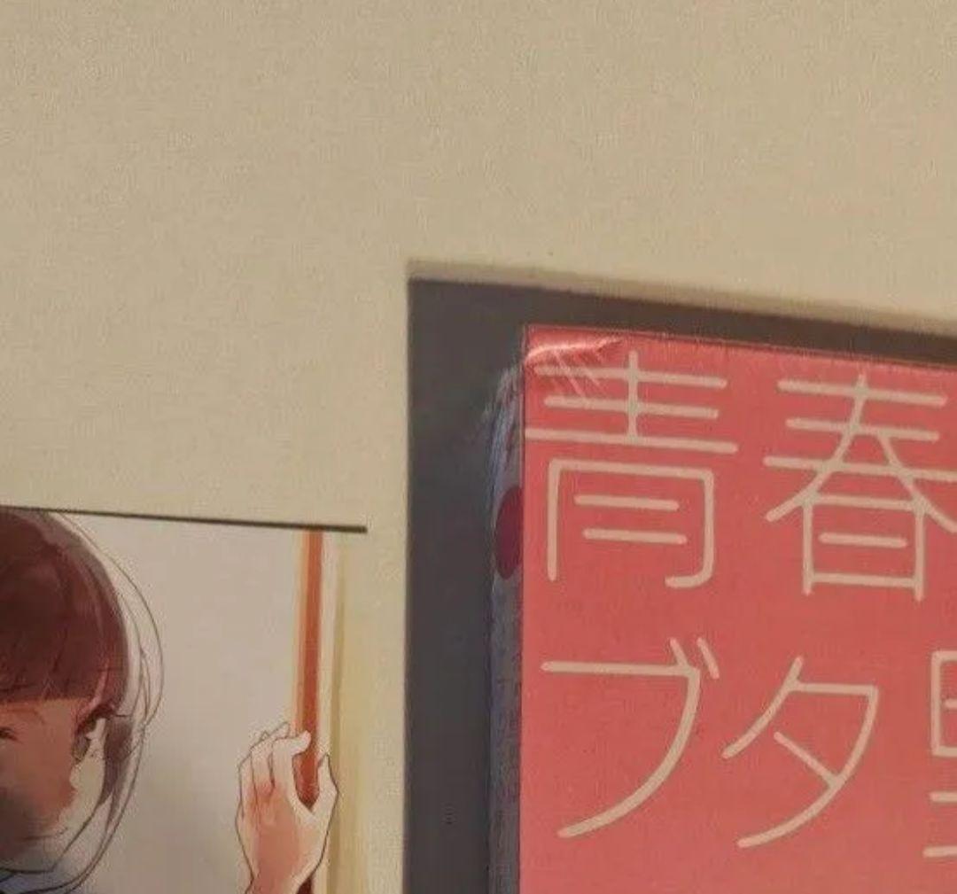 値下げ不可　青春ブタ野郎はディアフレンドの夢を見ない 特装版 全巻収納ボックス