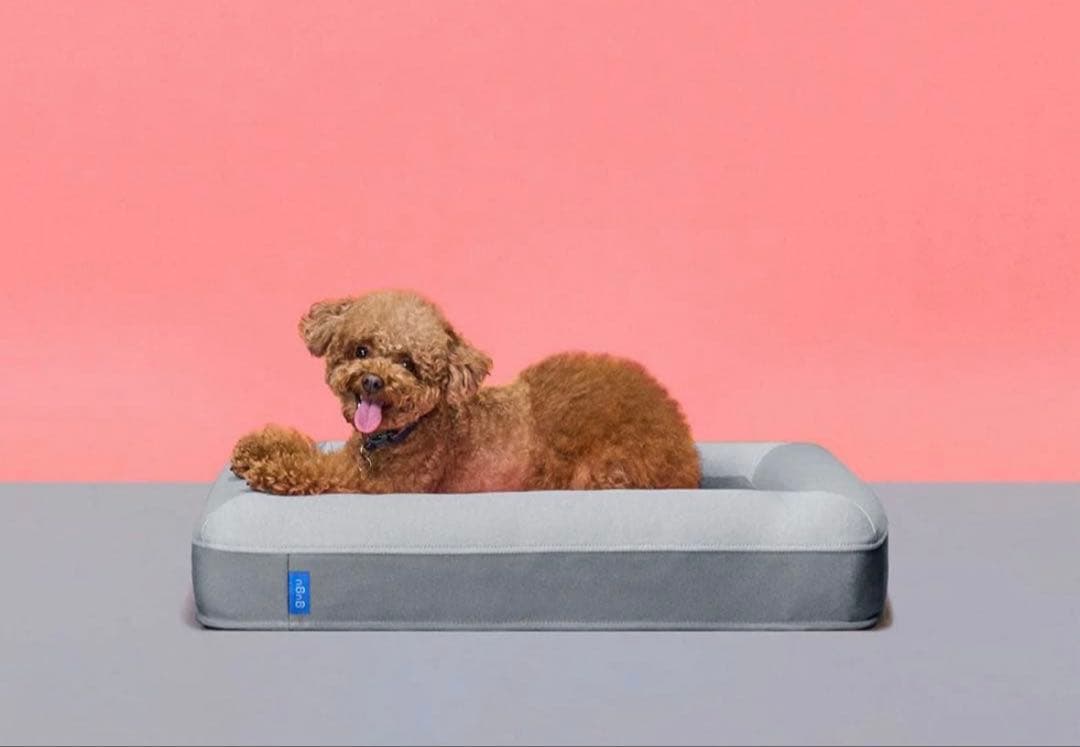 犬用クッションベッド スモールサイズ guguドギー　グーグースリープ