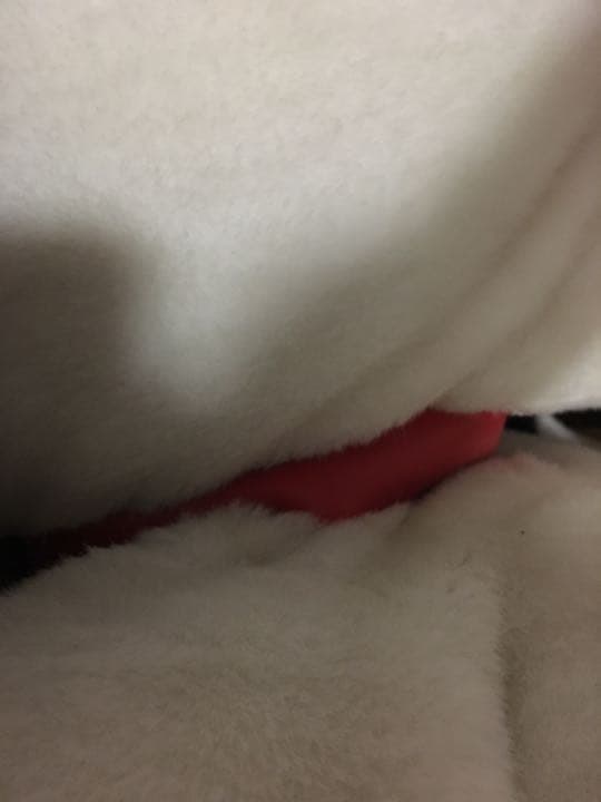 ファミリア スヌーピー Snoopy 最大級  引き取り兵庫【いまだけ】