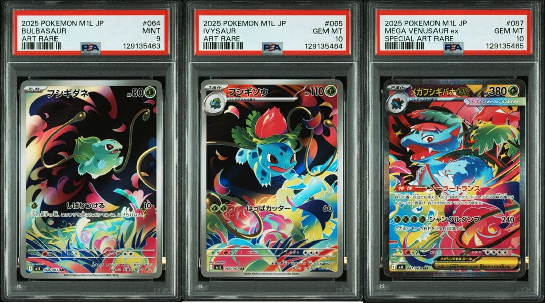 【PSA連番】フシギダネAR フシギソウAR メガフシギバナ SAR