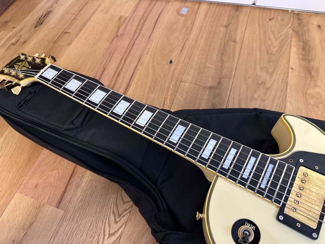 Bacchus Vintage Series レスポールカスタム