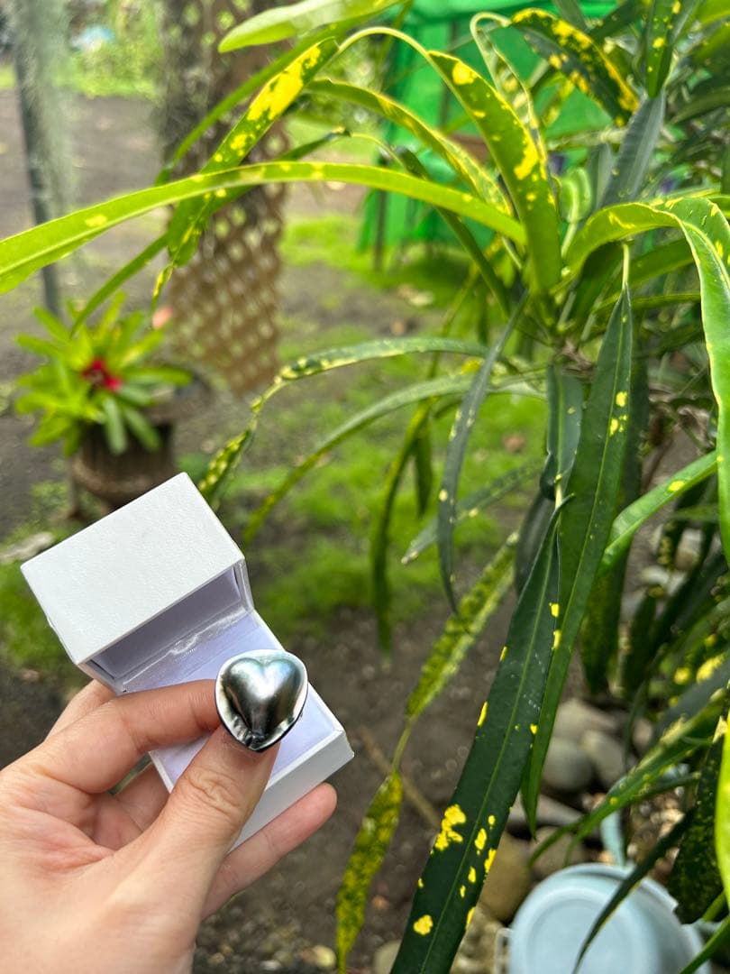 希少　黒蝶真珠　タヒチパール　タヒチマペパール　リング