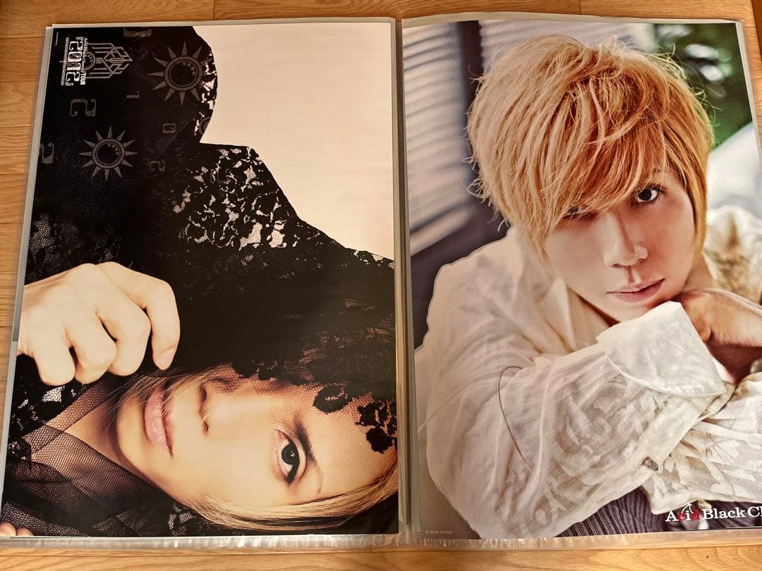 32枚Acid Black Cherry CD予約特典・ツアーポスター　②