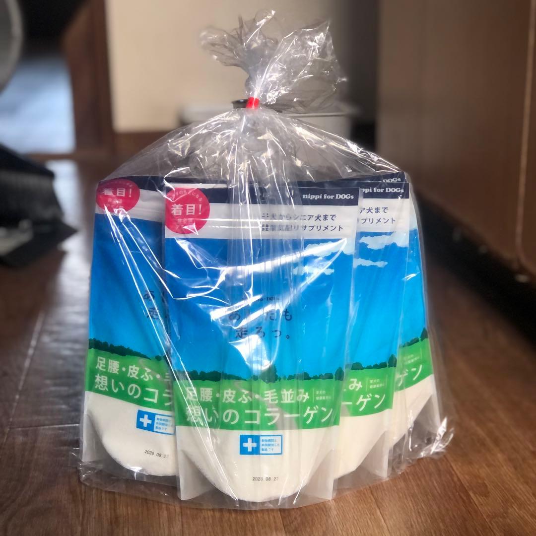 ニッピ あしたも走ろっ。 ２０袋